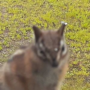 Meet your Posher, Allan